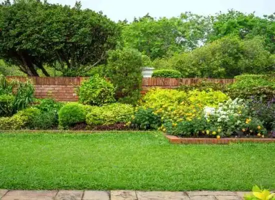 landscaping services Cary